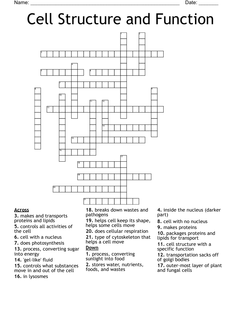 Cell Structure and Function Crossword