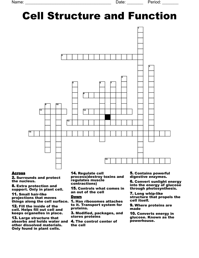 Cell Structure and Function  Crossword