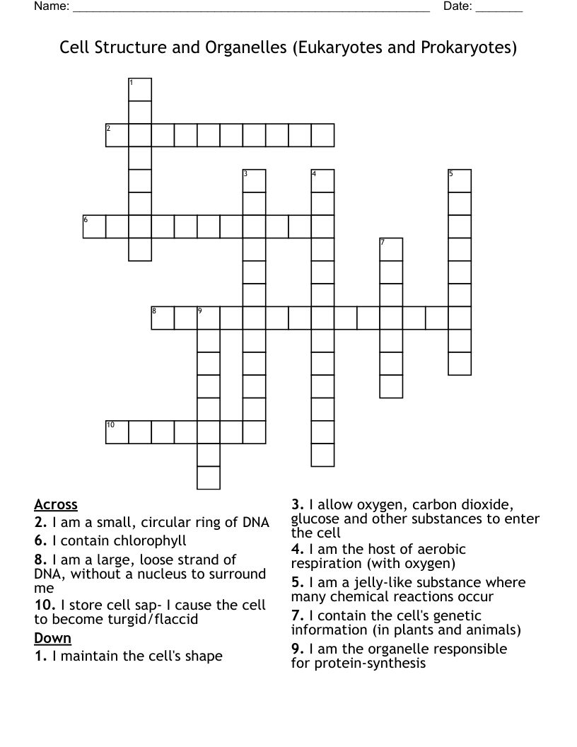 Cell Structure and Organelles (Eukaryotes and Prokaryotes) Crossword
