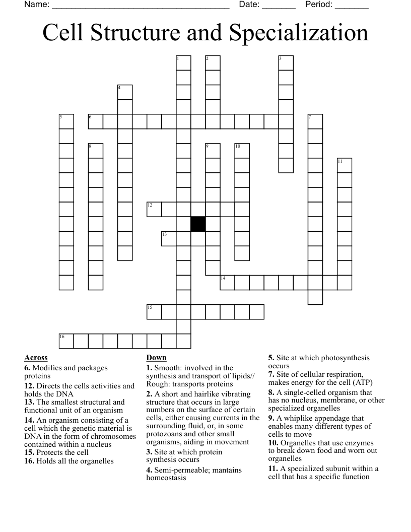 Cell Structure and Specialization Crossword