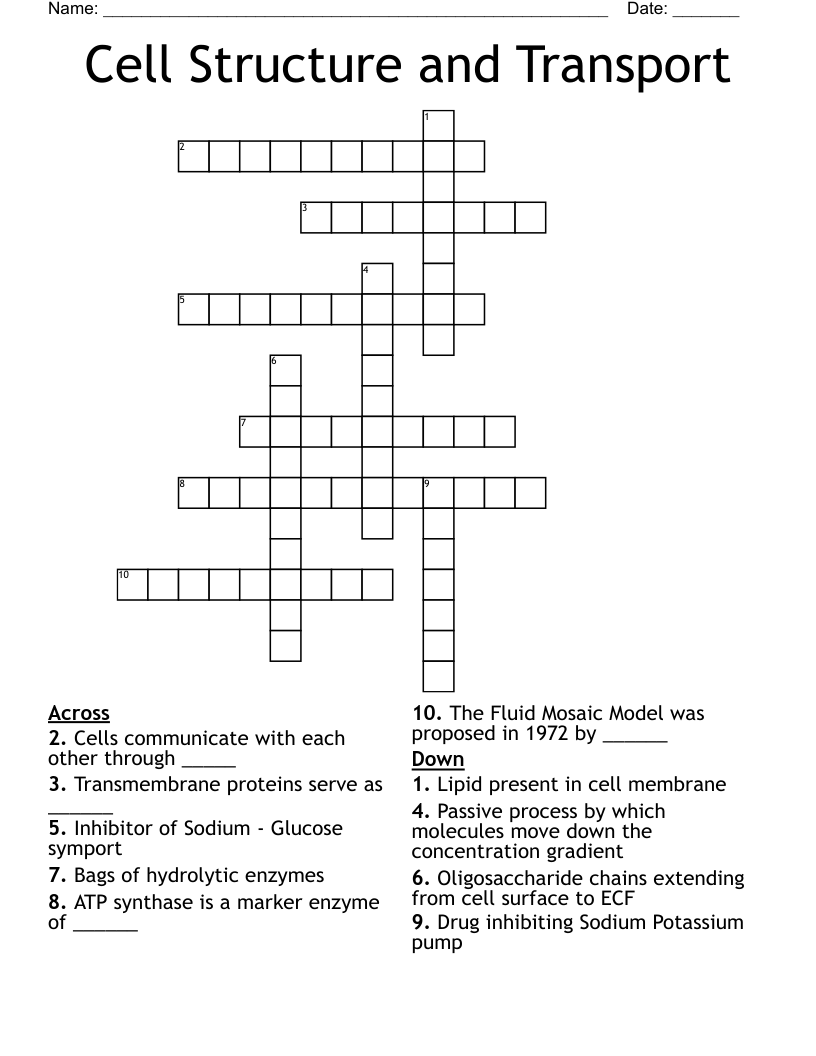 Cell Structure and Transport Crossword
