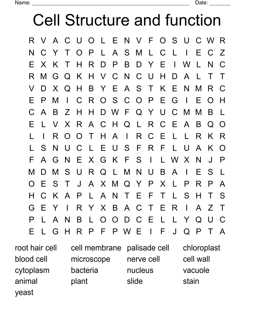 Cell Structure and function Word Search