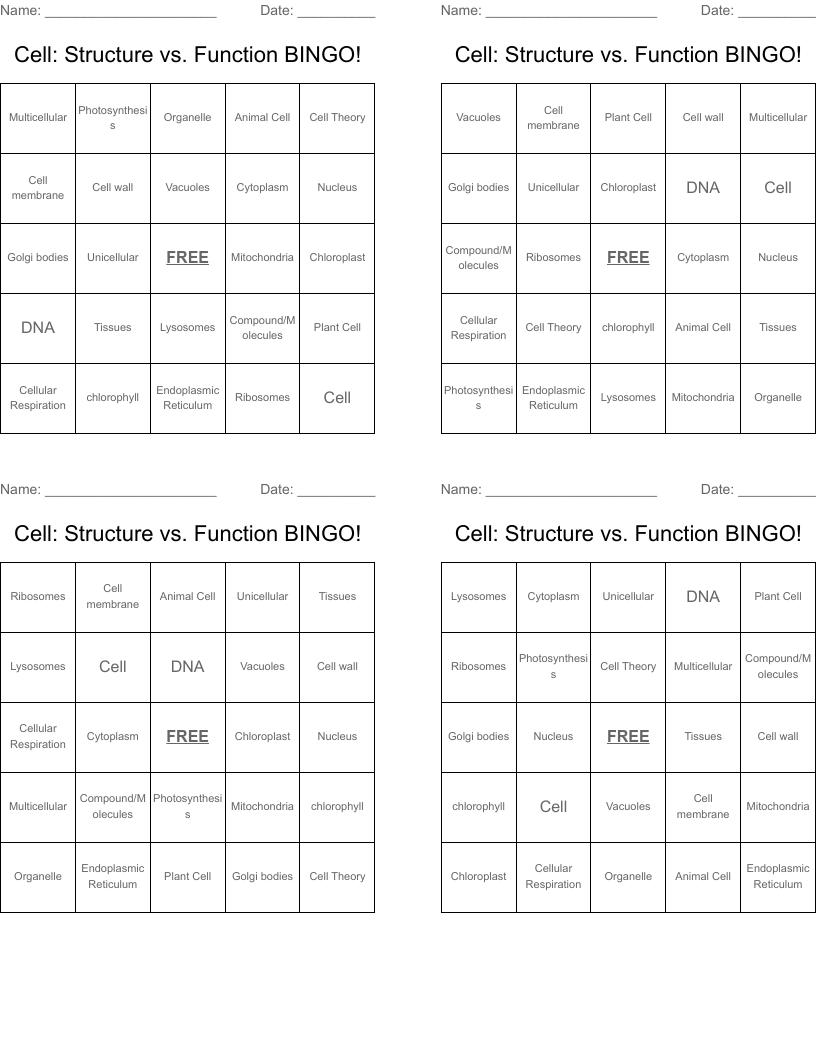 Cell: Structure vs. Function BINGO!