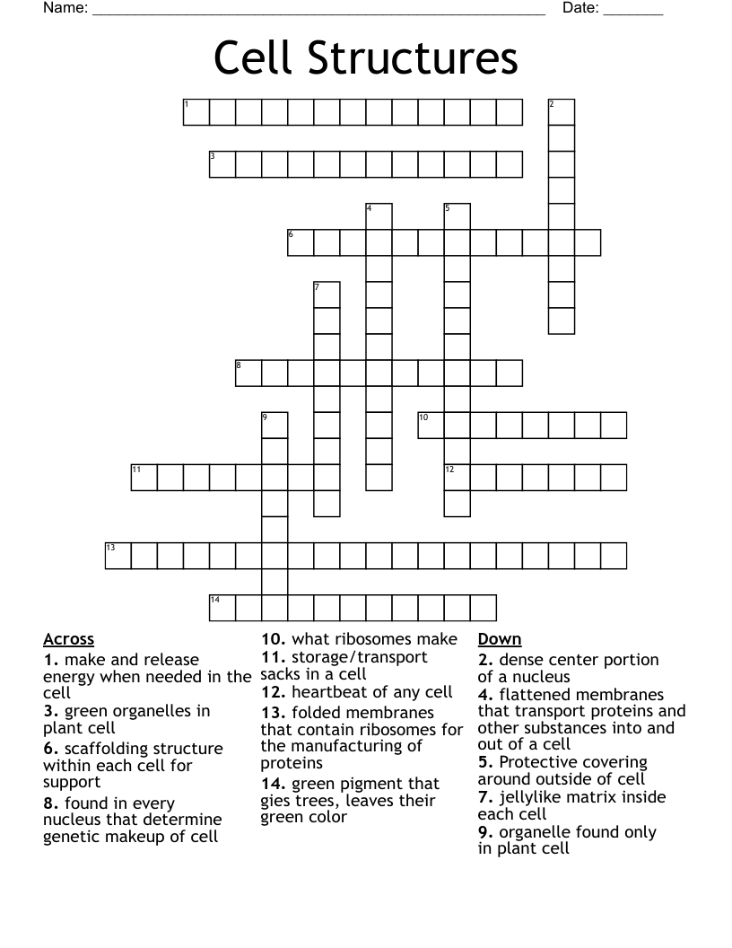 Cell Structures Crossword