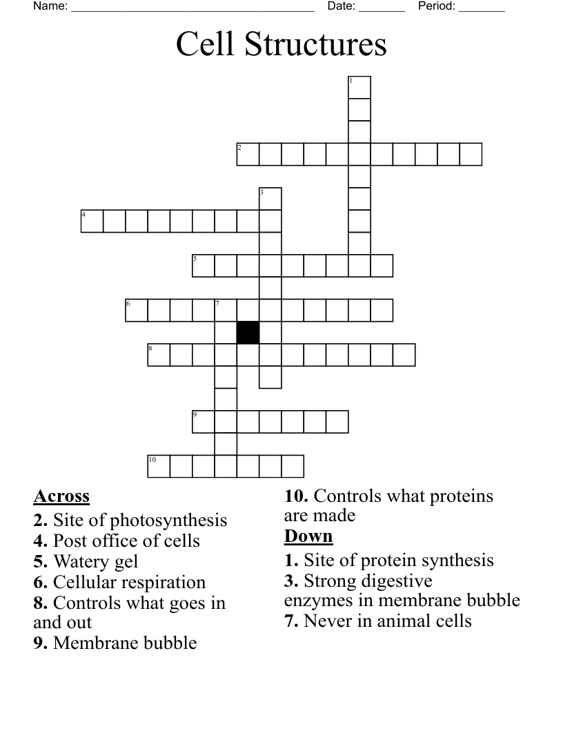 Cell Structures Crossword