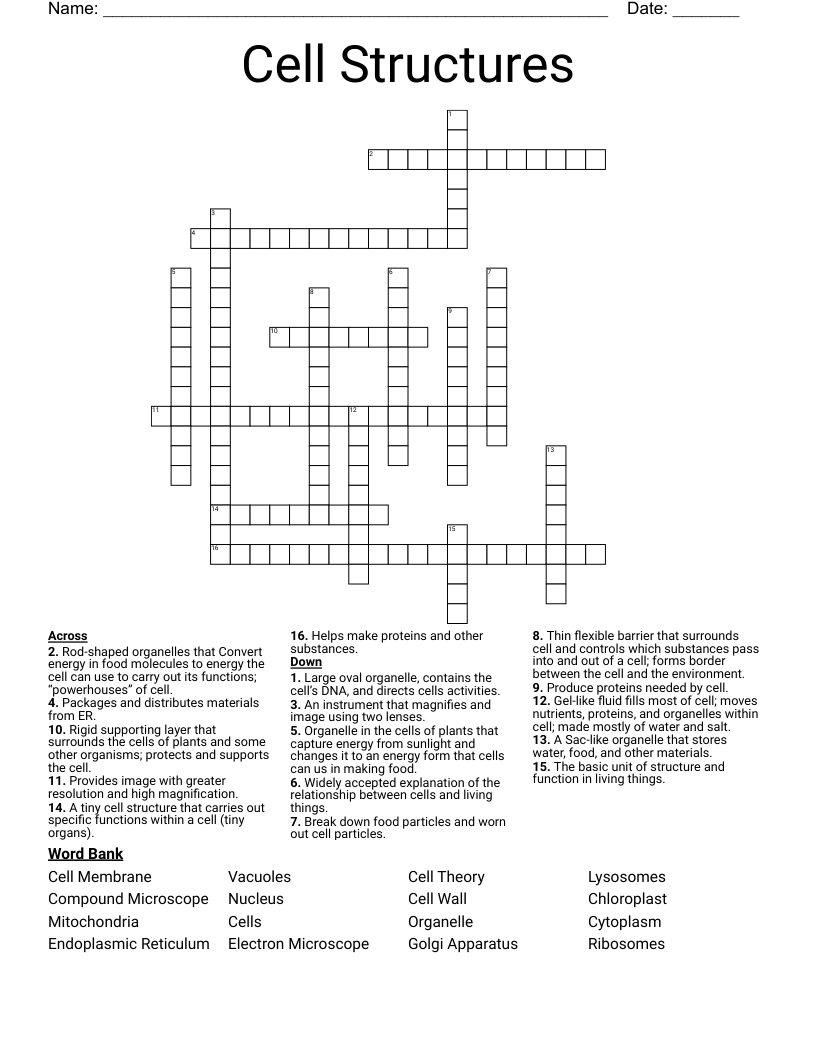 Cell Structures Crossword