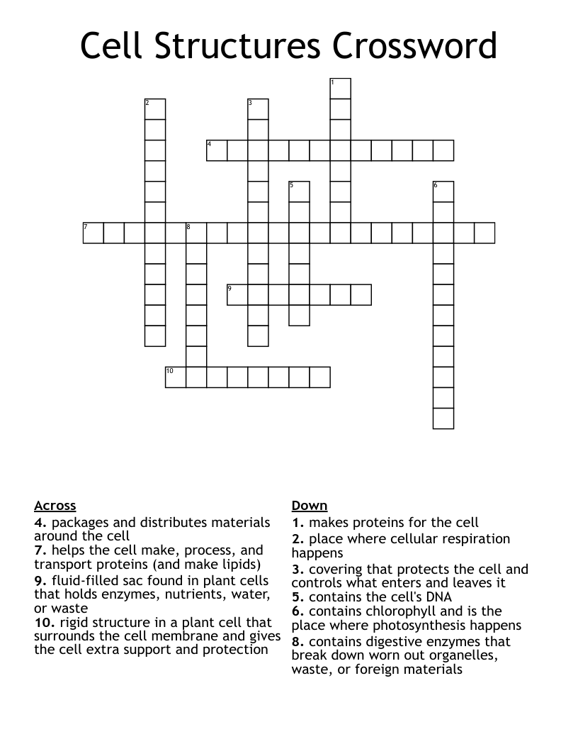Cell Structures Crossword