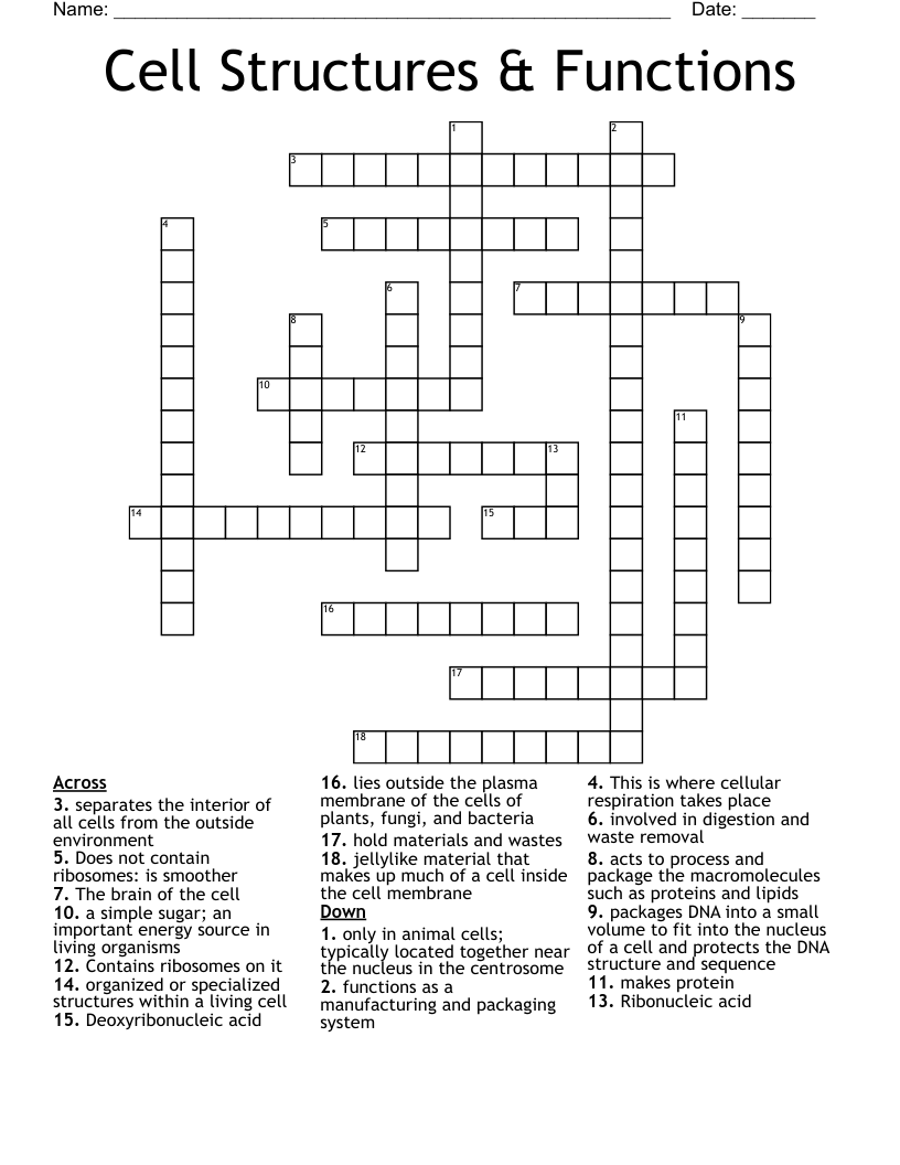 Cell Structures & Functions Crossword