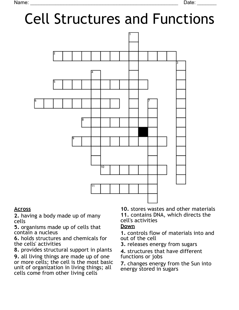 Cell Structures and Functions Crossword