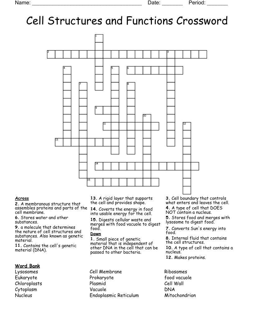Cell Structures and Functions Crossword