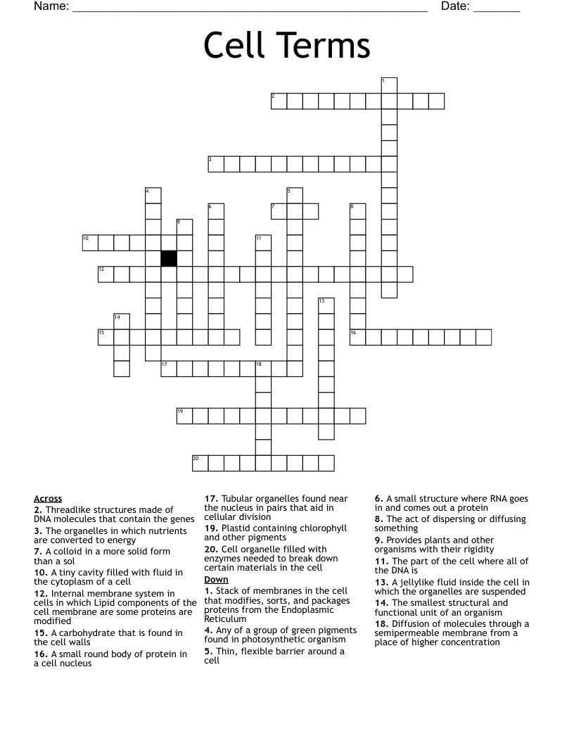 Cell Terms Crossword