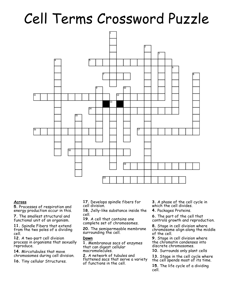 Cell Terms Crossword Puzzle