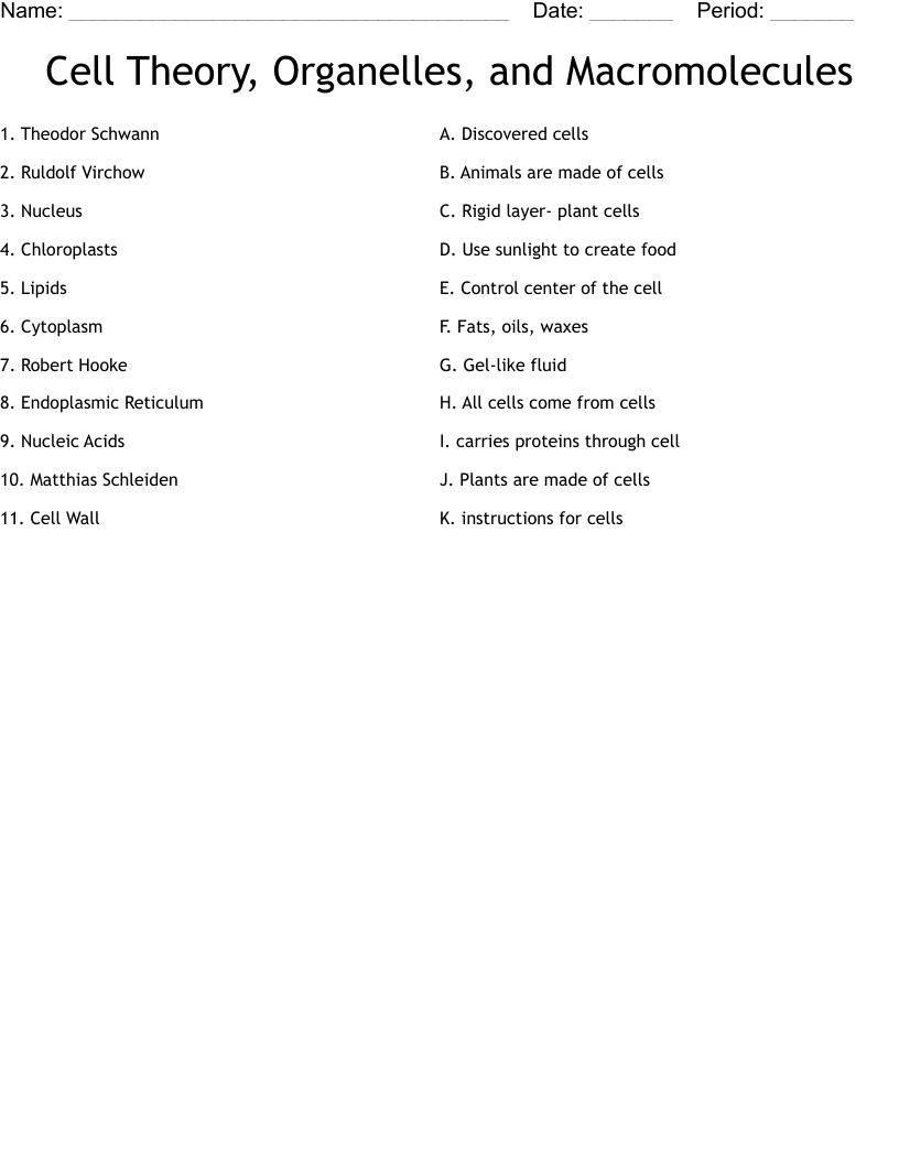 Cell Theory, Organelles, and Macromolecules Worksheet