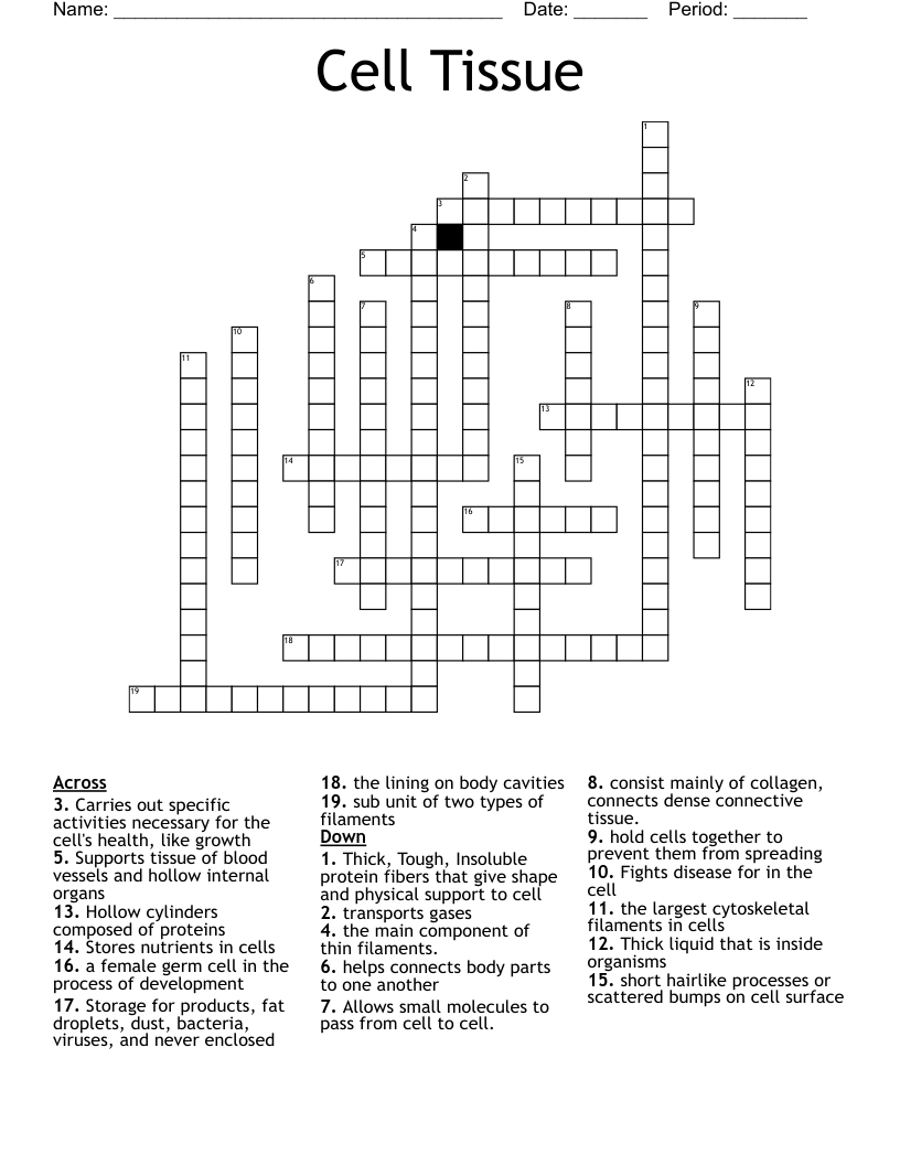 Cell Tissue Crossword