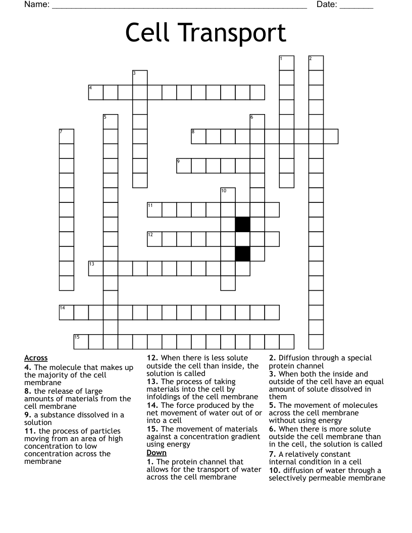 Cell Transport Crossword