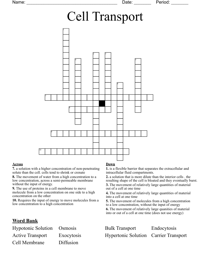 Cell Transport Crossword