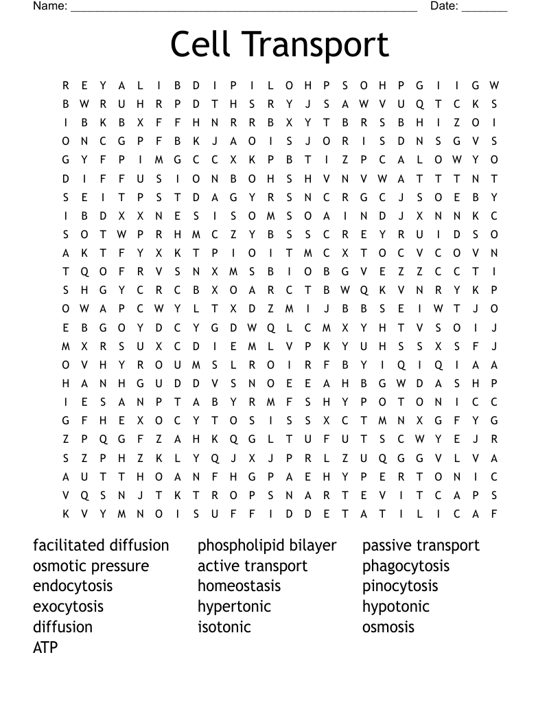Cell Transport Word Search