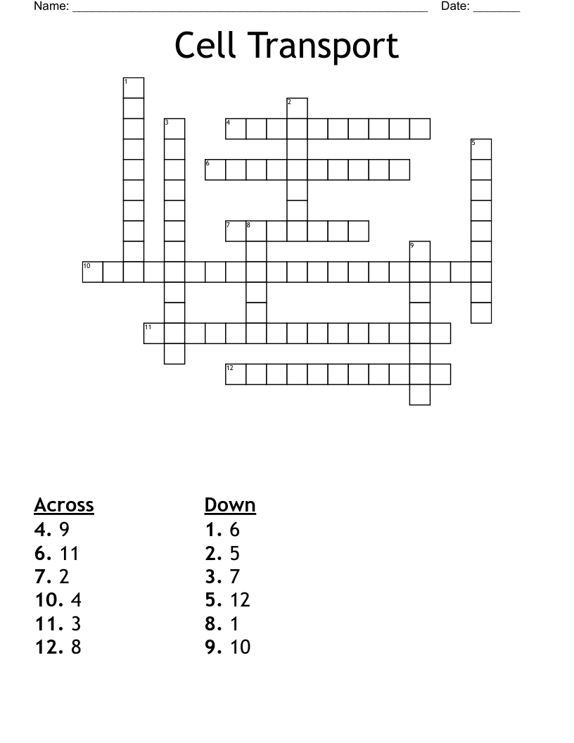 Cell Transport Crossword