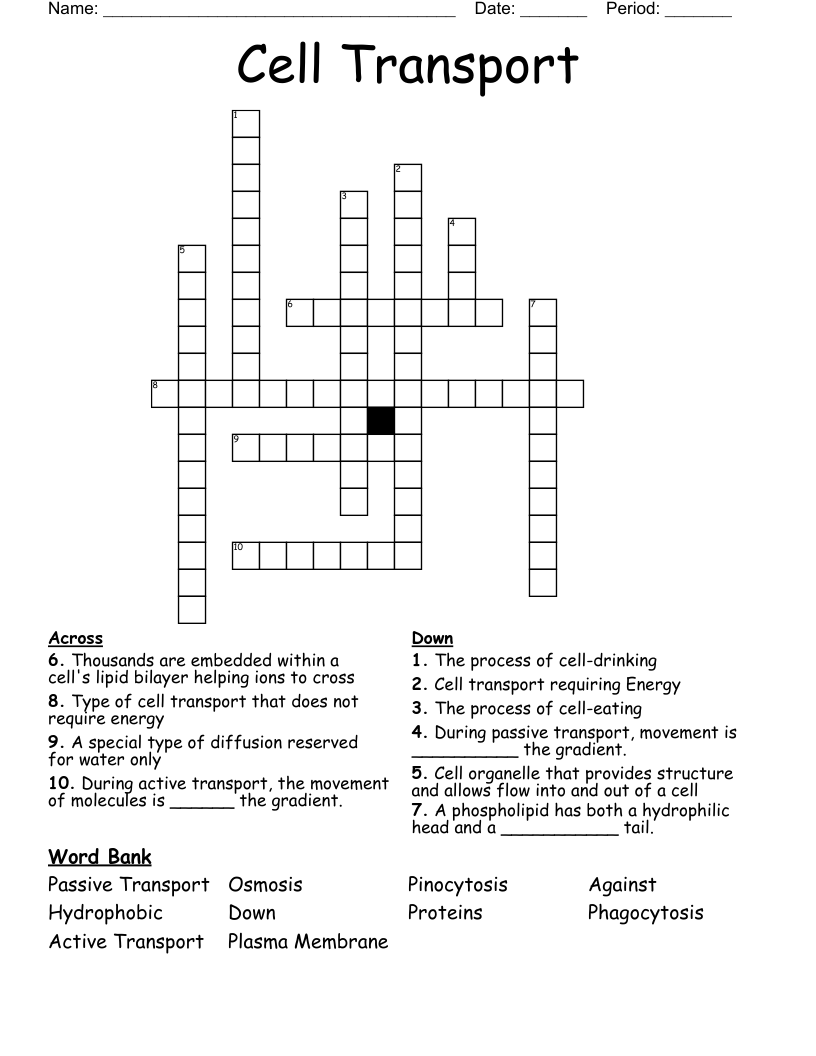 Cell Transport Crossword