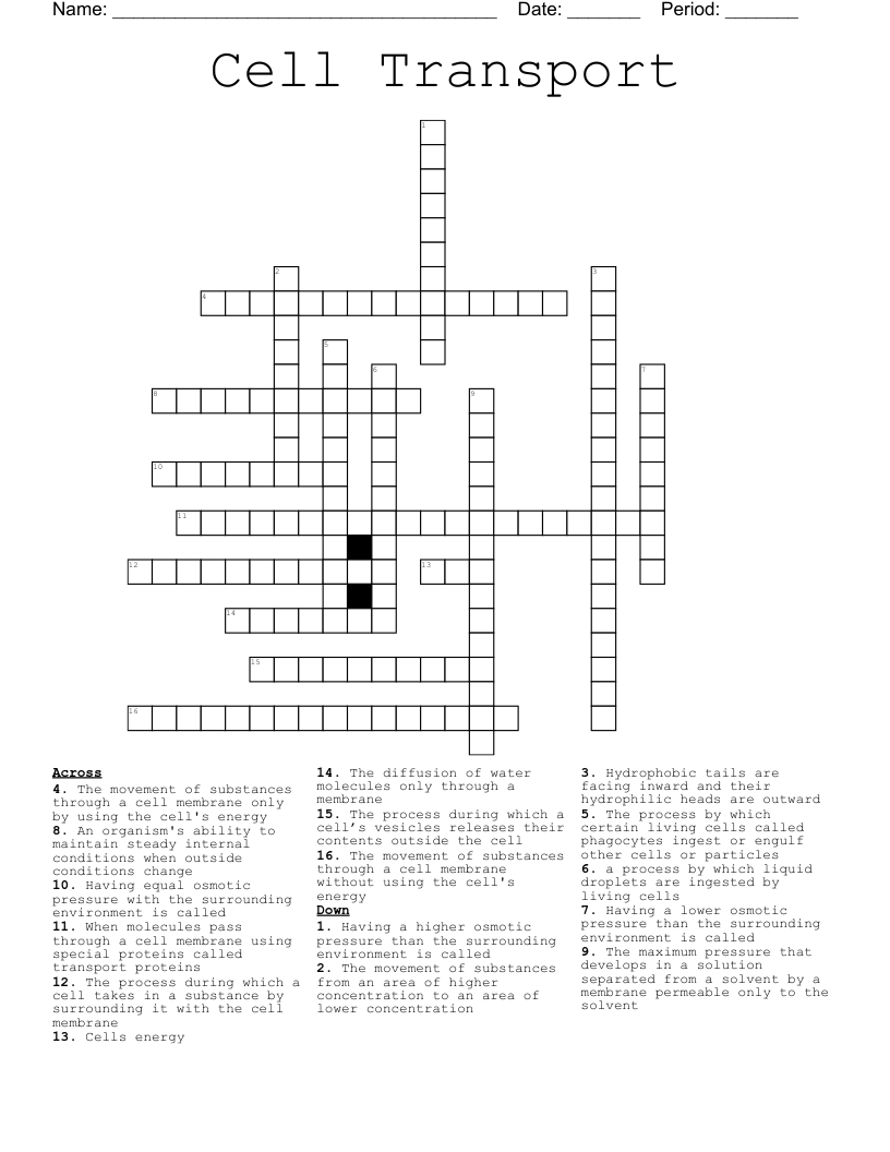 Cell Transport Crossword