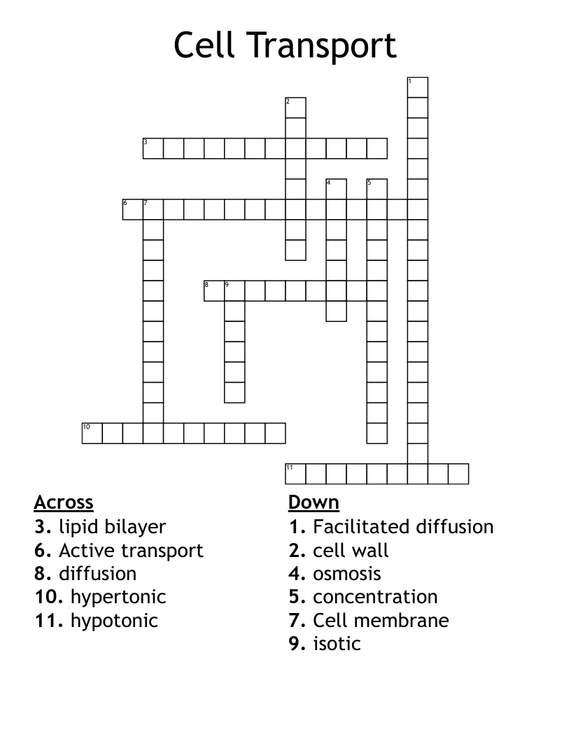 Cell Transport Crossword