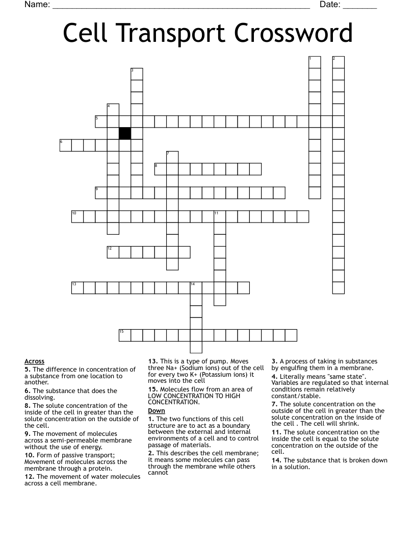 Cell Transport Crossword