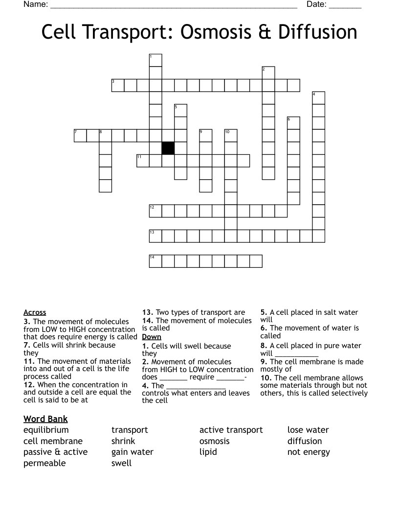 Cell Transport: Osmosis & Diffusion Crossword