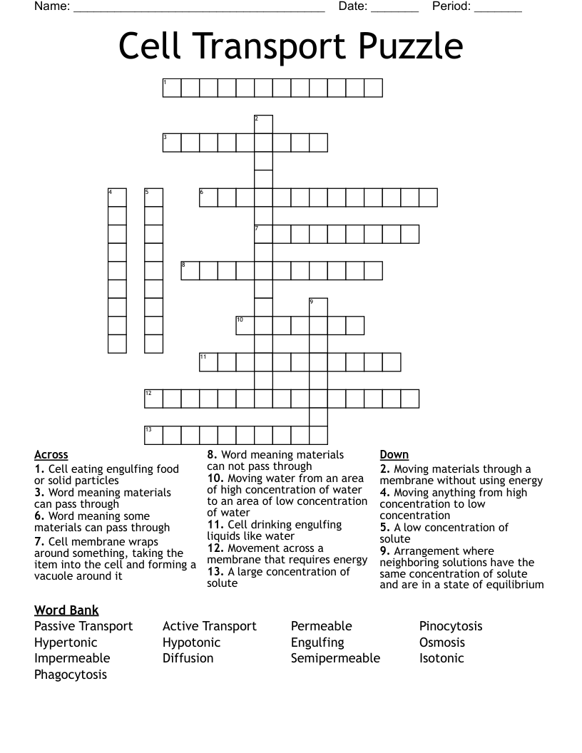 Cell Transport Puzzle Crossword