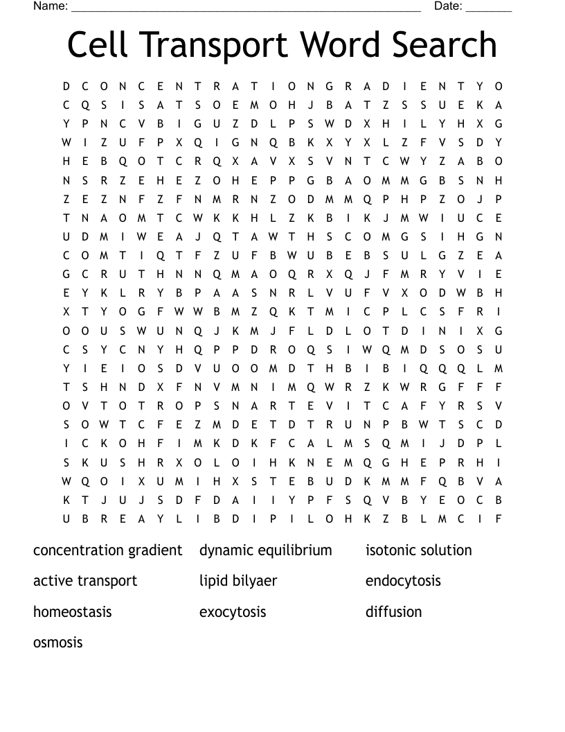 Cell Transport Word Search