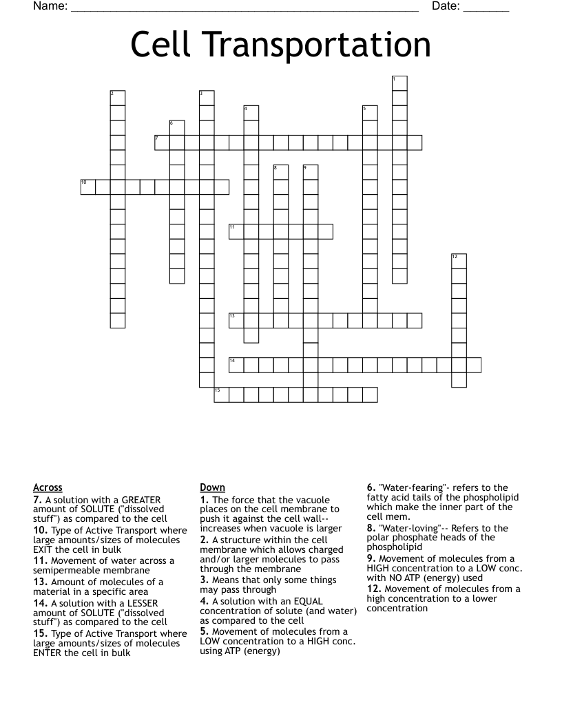 Cell Transportation Crossword