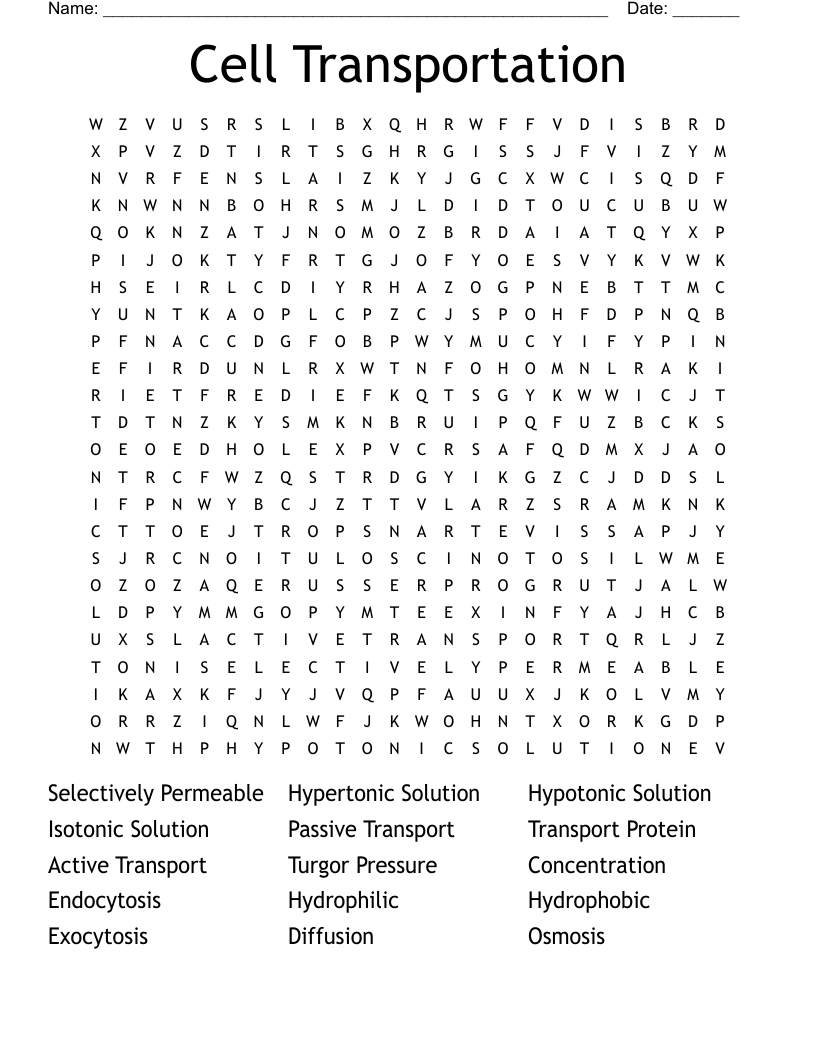 Cell Transportation Word Search