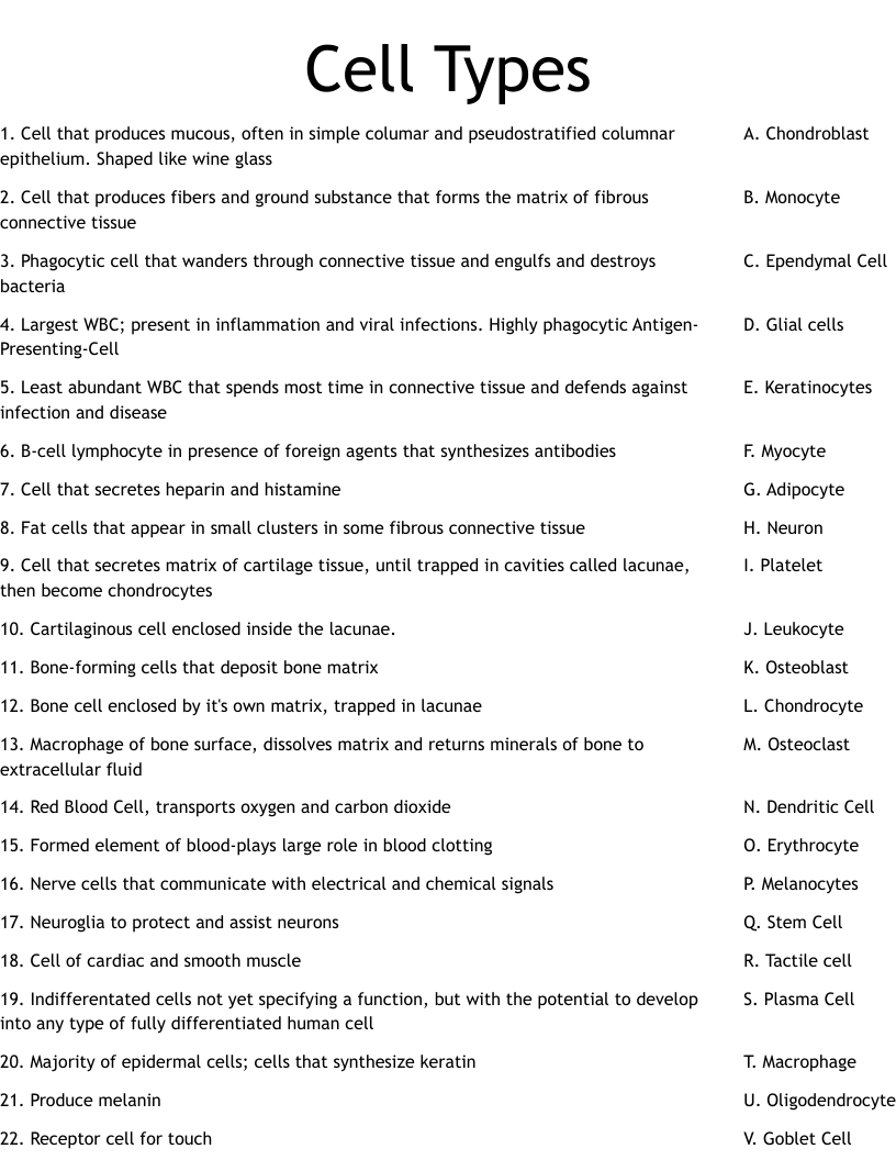 Cell Types Worksheet