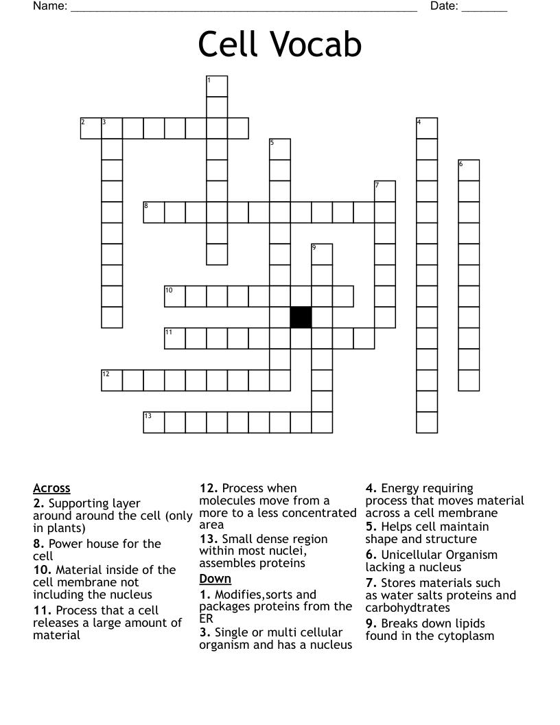 Cell Vocab Crossword