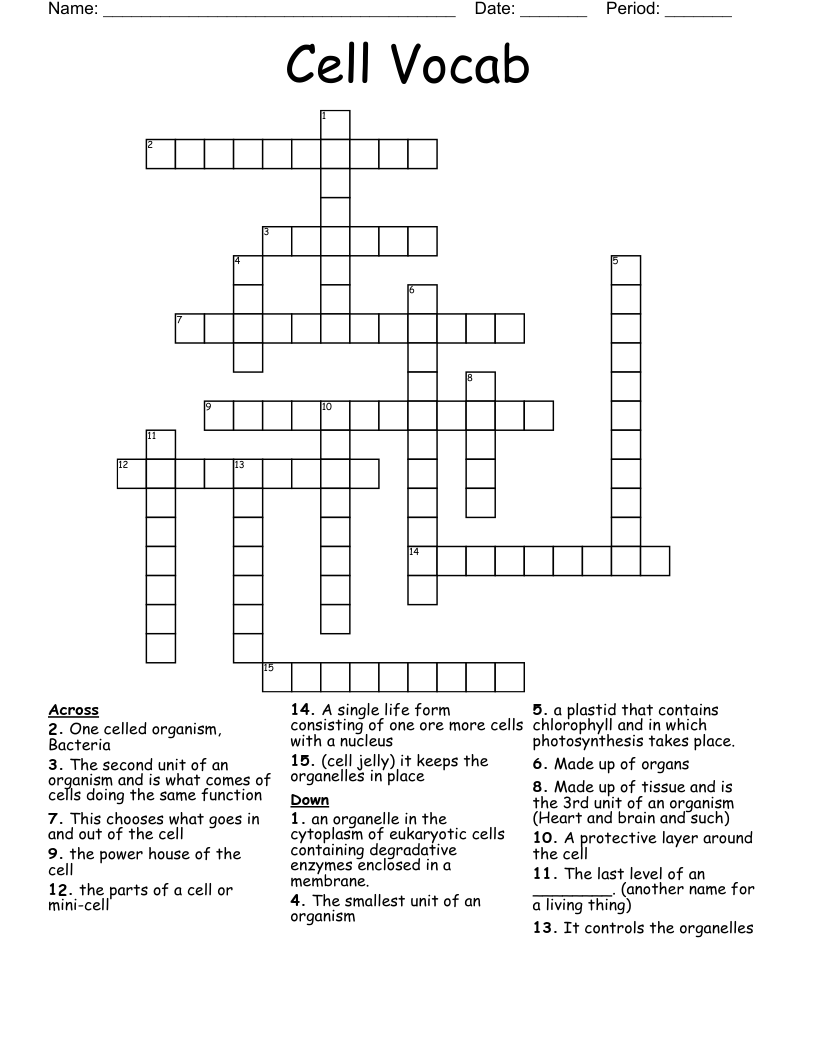 Cell Vocab Crossword