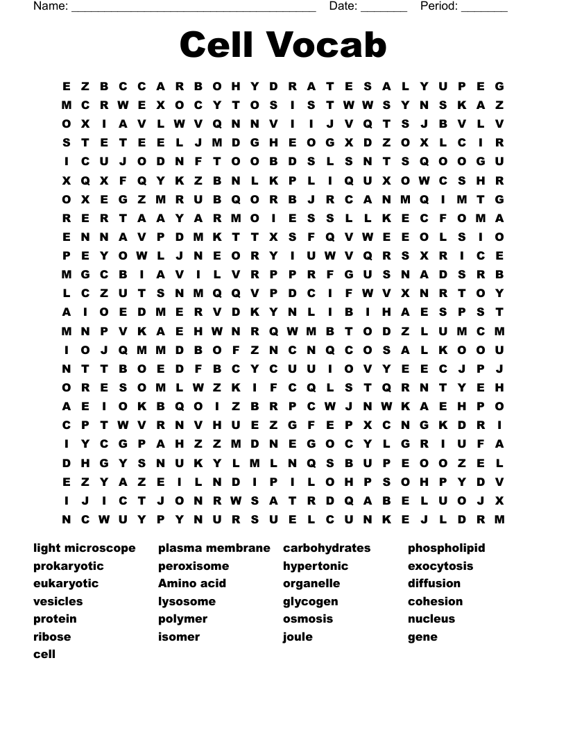 Cell Vocab Word Search