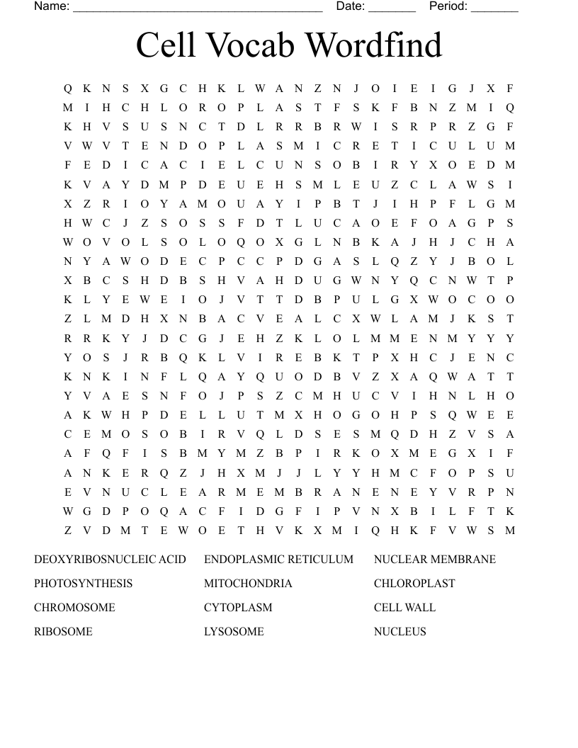 Cell Vocab Wordfind Word Search