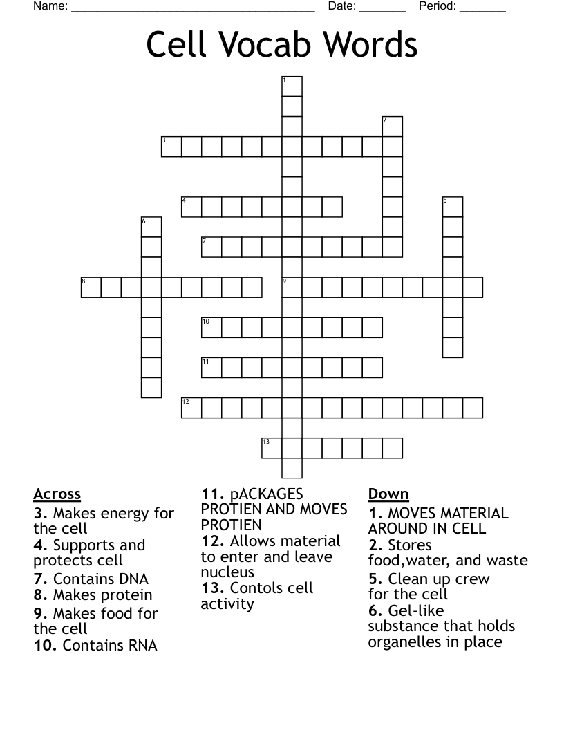 Cell Vocab Words Crossword