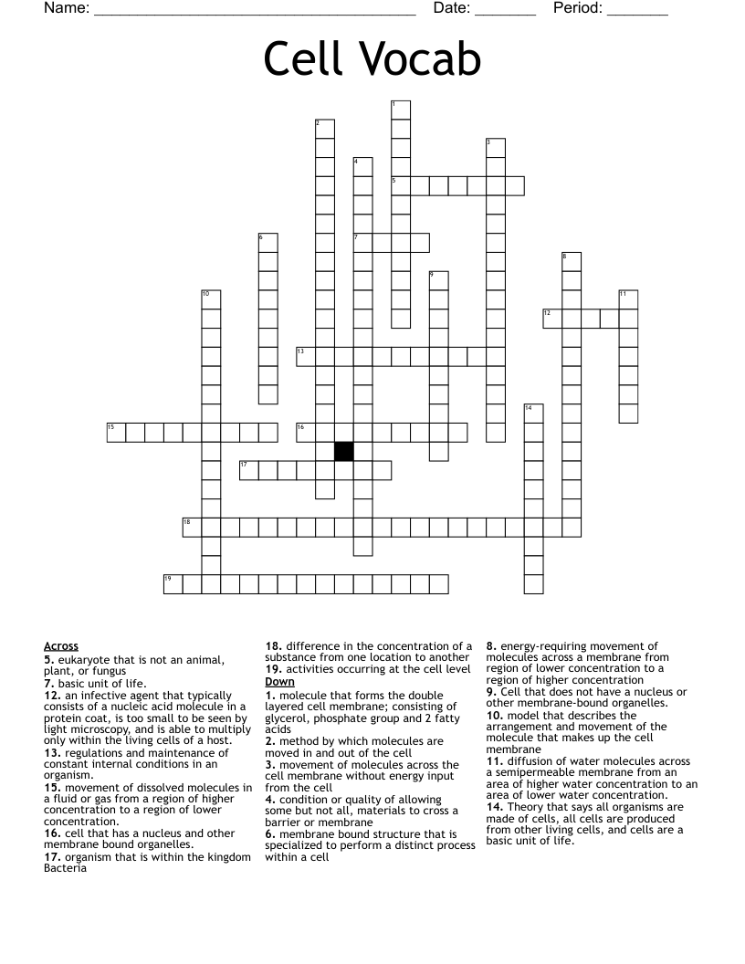 Cell Vocab  Crossword