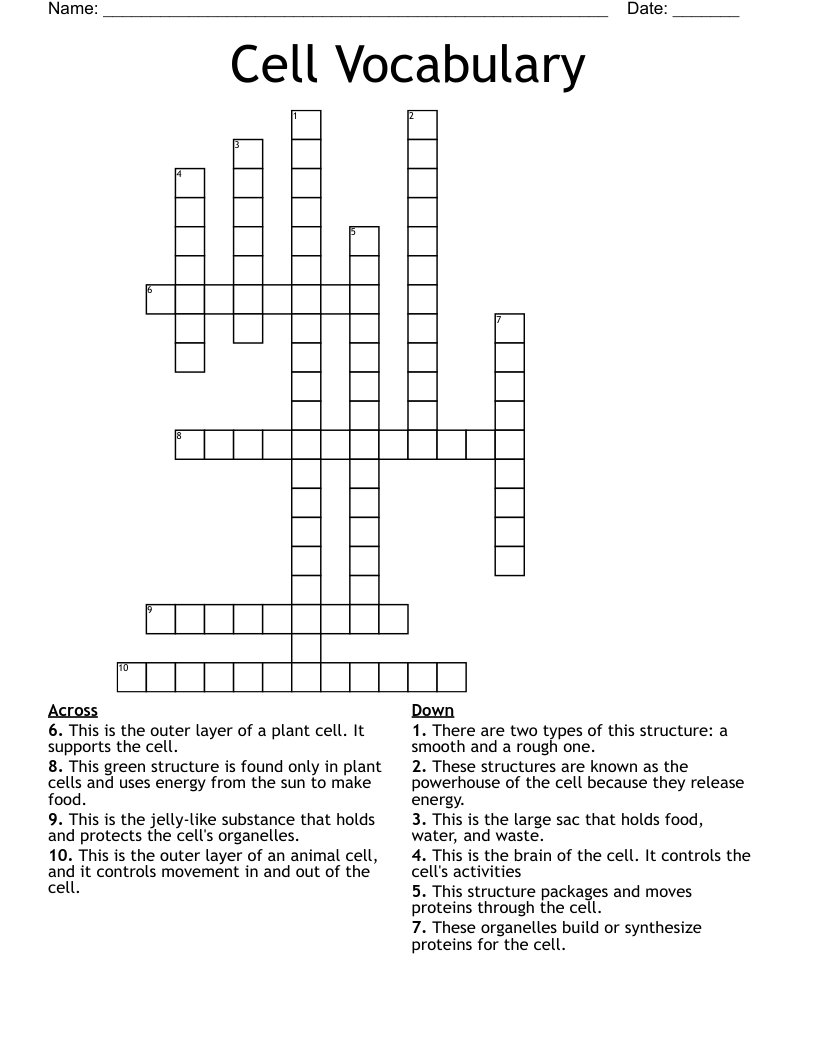 Cell Vocabulary Crossword
