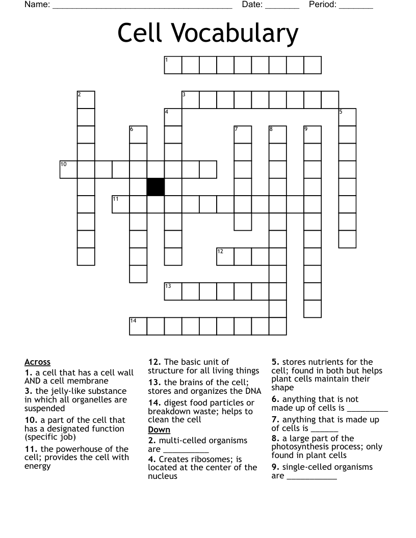 Cell Vocabulary Crossword