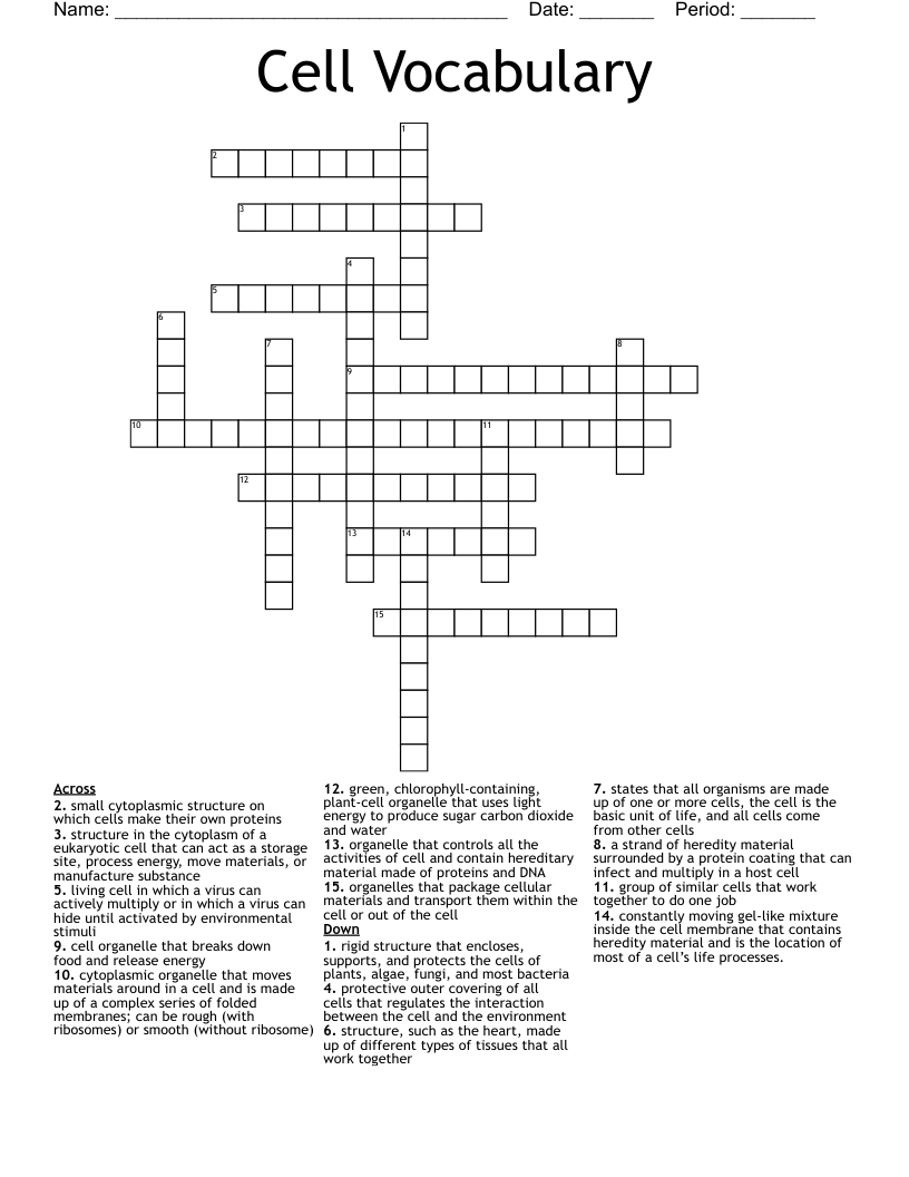 Cell Vocabulary Crossword