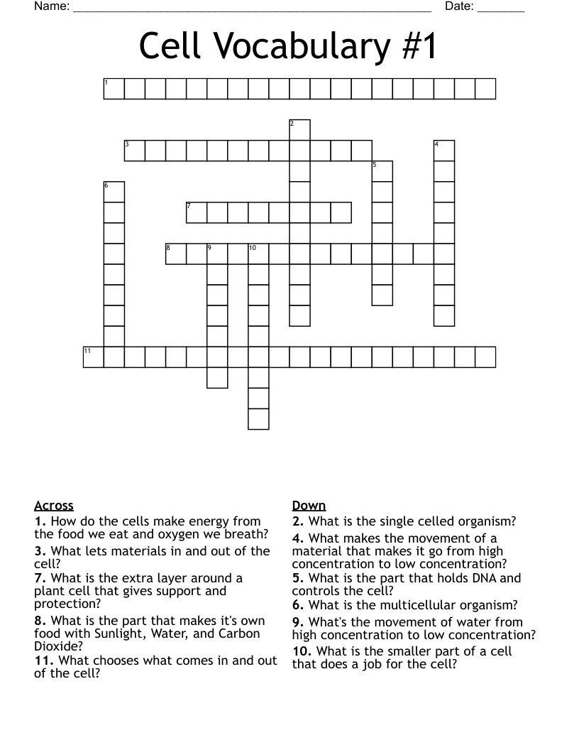 Cell Vocabulary #1 Crossword