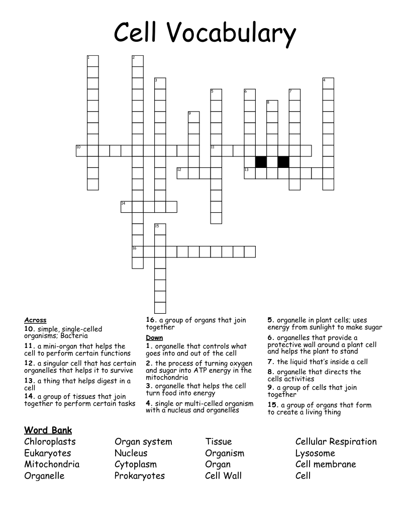 Cell Vocabulary Crossword