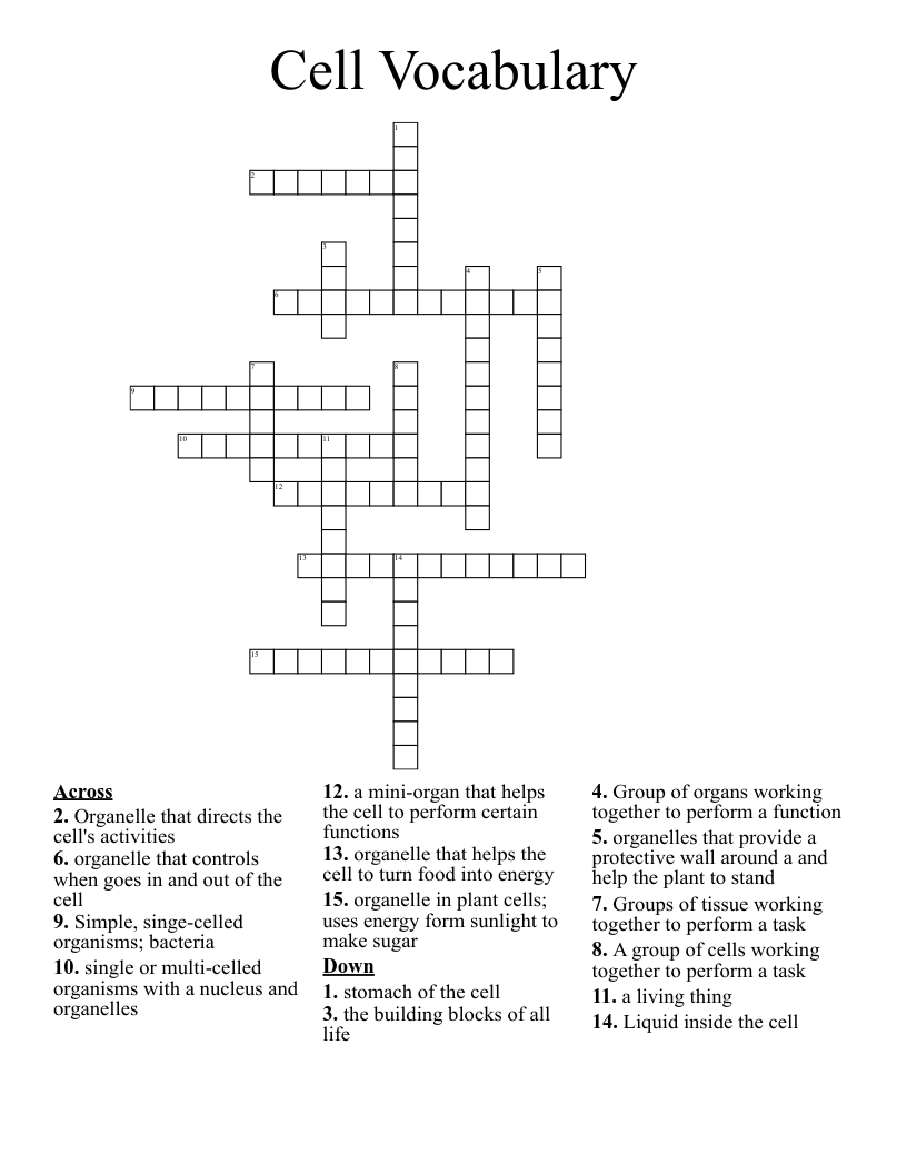 Cell Vocabulary Crossword