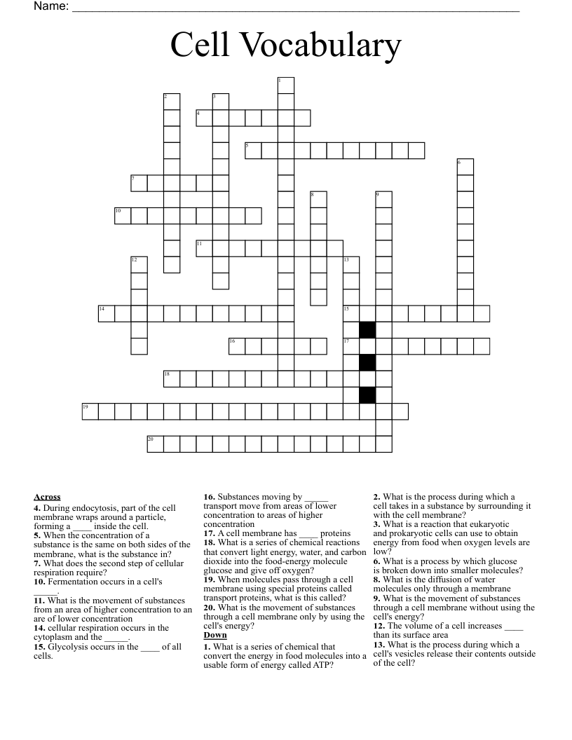 Cell Vocabulary Crossword