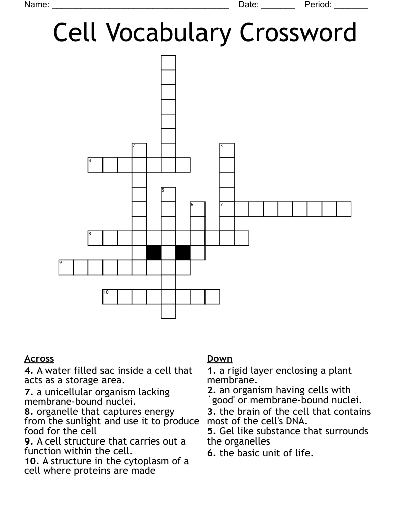 Cell Vocabulary Crossword