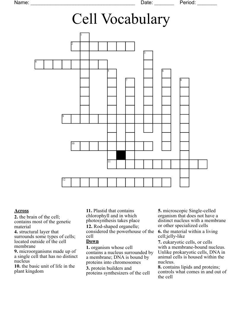 Cell Vocabulary  Crossword