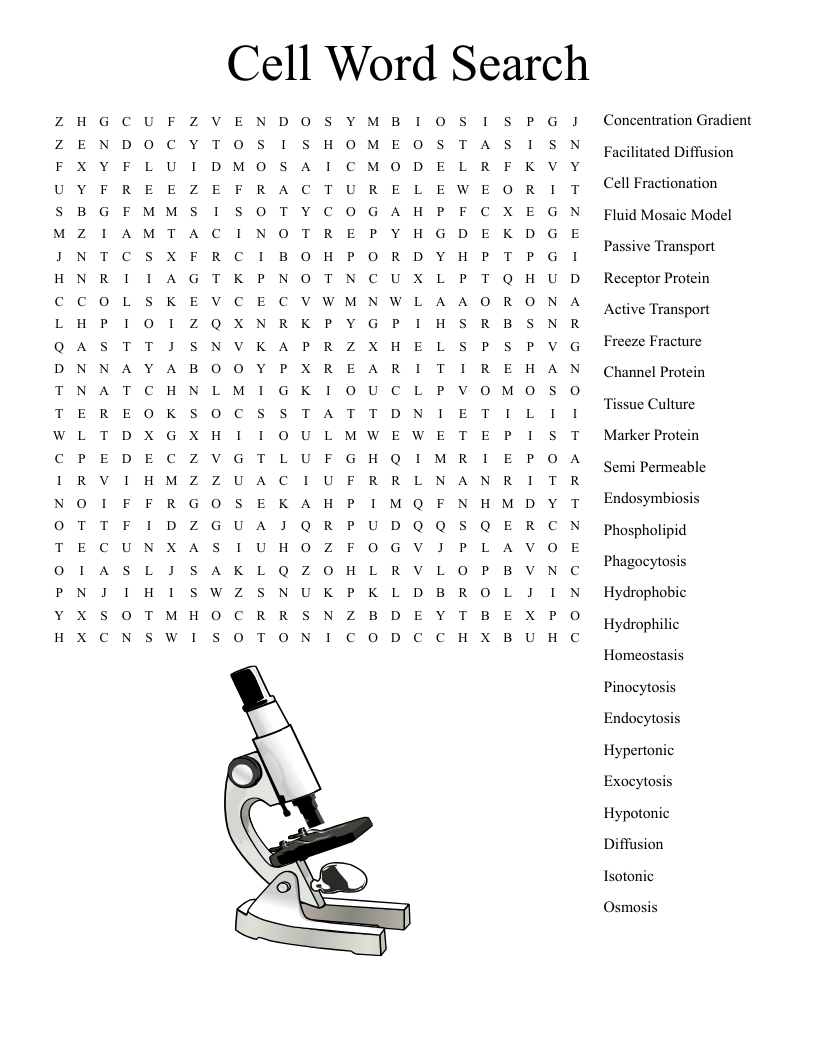 Cell Word Search