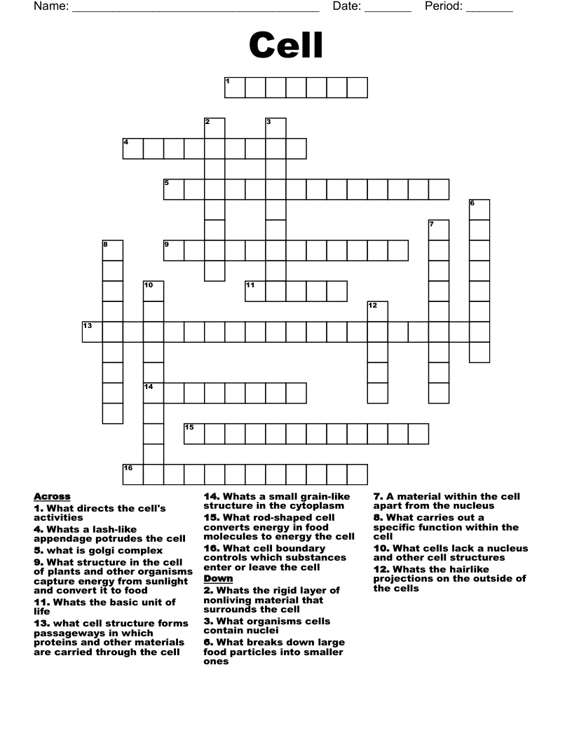 Cell  Crossword