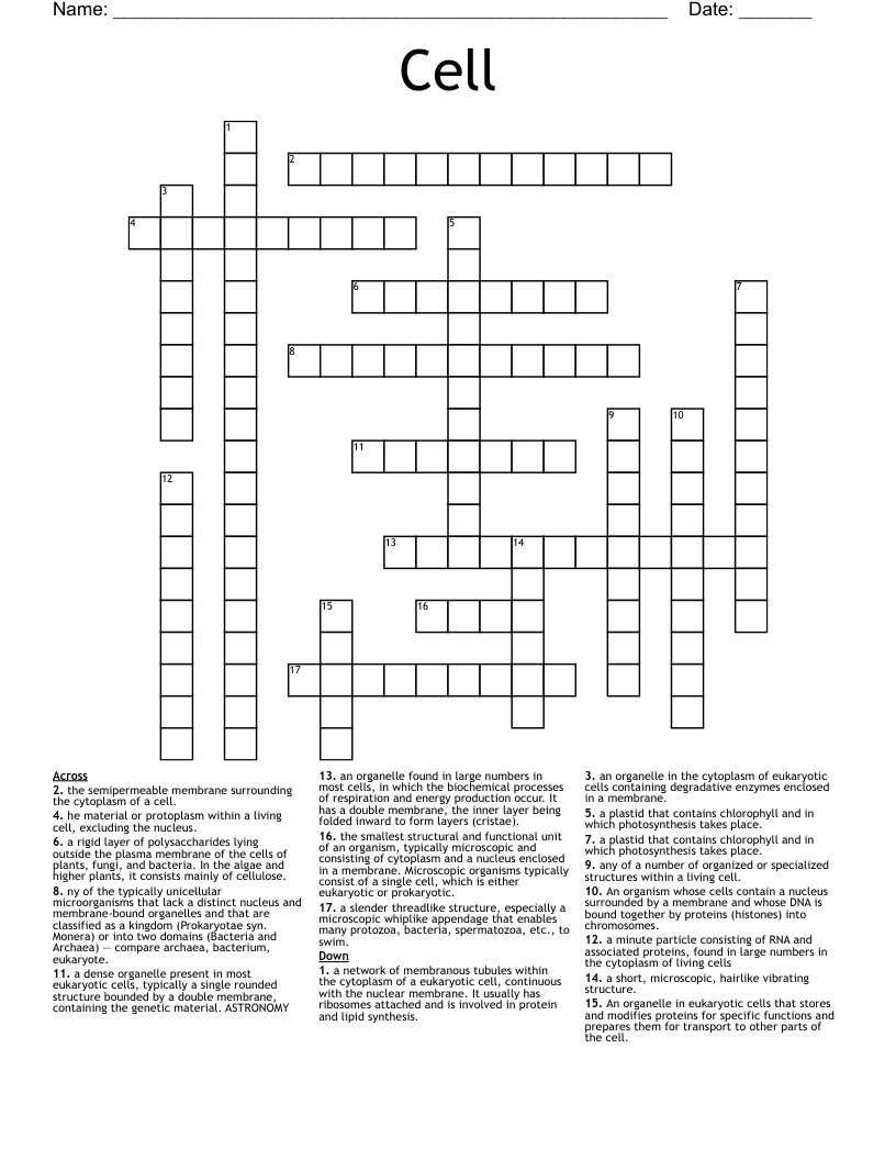 Cell   Crossword